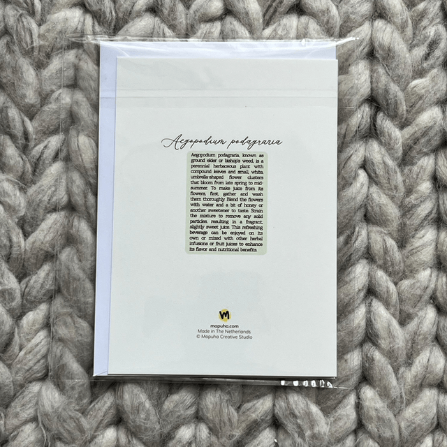Greeting card Elderflower